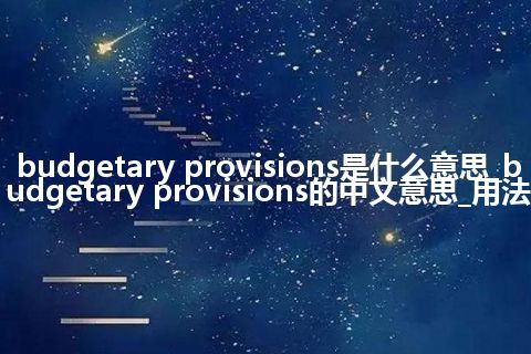 budgetary provisions是什么意思_budgetary provisions的中文意思_用法