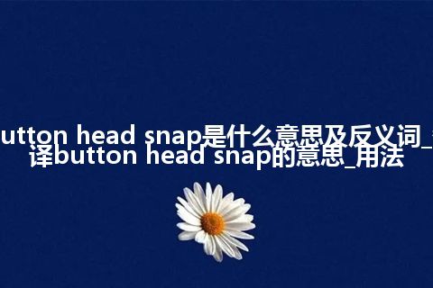 button head snap是什么意思及反义词_翻译button head snap的意思_用法