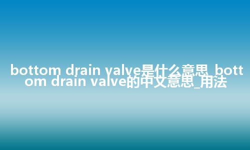 bottom drain valve是什么意思_bottom drain valve的中文意思_用法