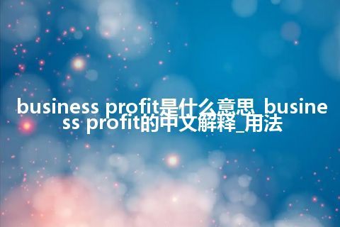 business profit是什么意思_business profit的中文解释_用法