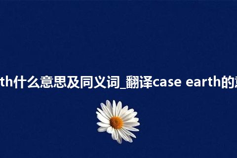 case earth什么意思及同义词_翻译case earth的意思_用法
