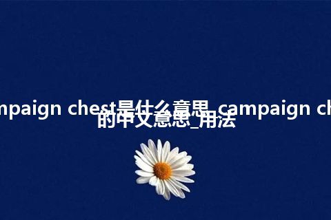 campaign chest是什么意思_campaign chest的中文意思_用法