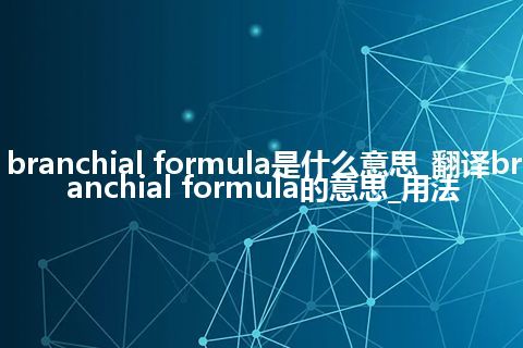 branchial formula是什么意思_翻译branchial formula的意思_用法