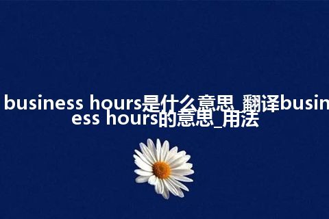 business hours是什么意思_翻译business hours的意思_用法