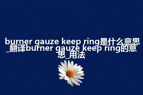 burner gauze keep ring是什么意思_翻译burner gauze keep ring的意思_用法