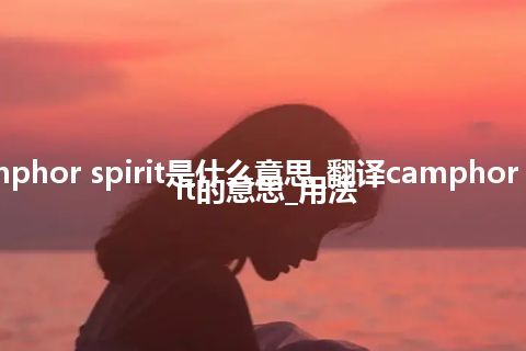 camphor spirit是什么意思_翻译camphor spirit的意思_用法
