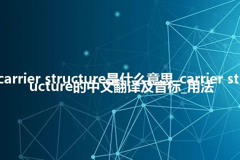 carrier structure是什么意思_carrier structure的中文翻译及音标_用法