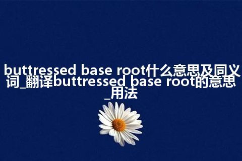 buttressed base root什么意思及同义词_翻译buttressed base root的意思_用法