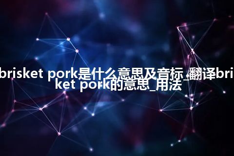 brisket pork是什么意思及音标_翻译brisket pork的意思_用法