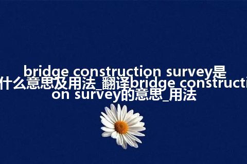 bridge construction survey是什么意思及用法_翻译bridge construction survey的意思_用法