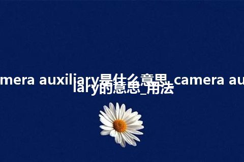 camera auxiliary是什么意思_camera auxiliary的意思_用法