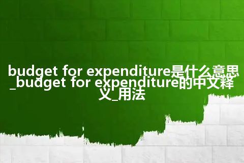 budget for expenditure是什么意思_budget for expenditure的中文释义_用法