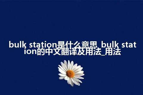 bulk station是什么意思_bulk station的中文翻译及用法_用法