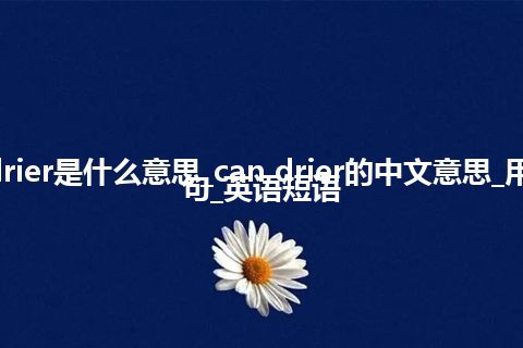 can drier是什么意思_can drier的中文意思_用法_例句_英语短语