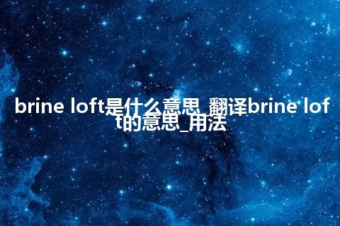 brine loft是什么意思_翻译brine loft的意思_用法