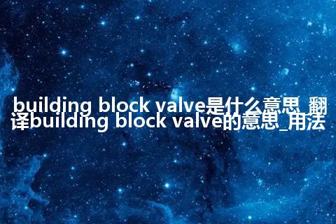 building block valve是什么意思_翻译building block valve的意思_用法