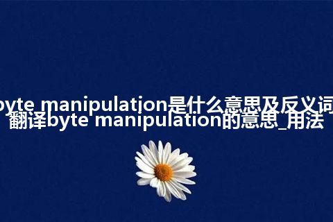 byte manipulation是什么意思及反义词_翻译byte manipulation的意思_用法