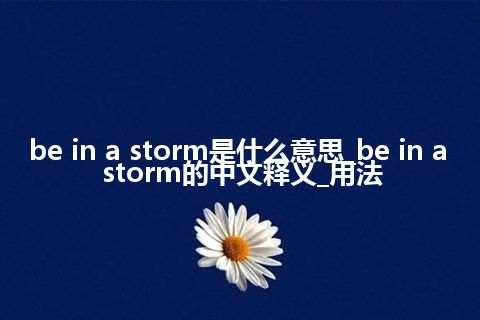 be in a storm是什么意思_be in a storm的中文释义_用法