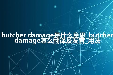 butcher damage是什么意思_butcher damage怎么翻译及发音_用法