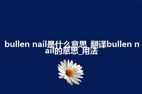 bullen nail是什么意思_翻译bullen nail的意思_用法