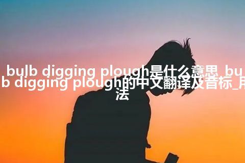 bulb digging plough是什么意思_bulb digging plough的中文翻译及音标_用法