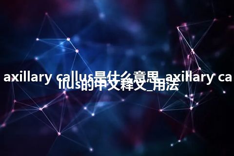 axillary callus是什么意思_axillary callus的中文释义_用法