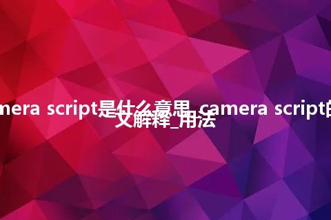 camera script是什么意思_camera script的中文解释_用法