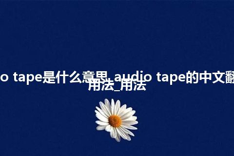 audio tape是什么意思_audio tape的中文翻译及用法_用法