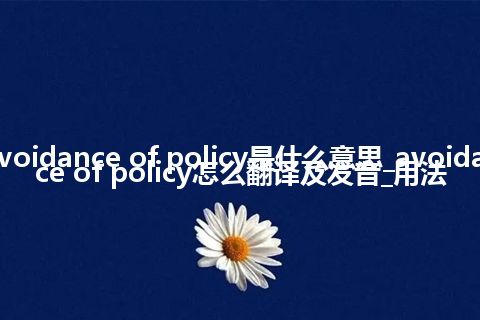 avoidance of policy是什么意思_avoidance of policy怎么翻译及发音_用法