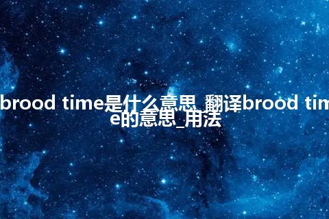 brood time是什么意思_翻译brood time的意思_用法
