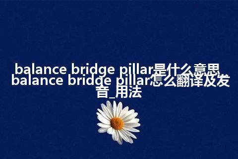 balance bridge pillar是什么意思_balance bridge pillar怎么翻译及发音_用法