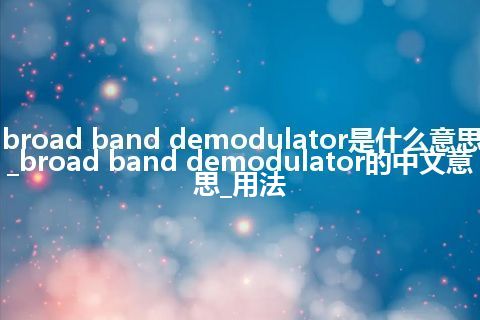 broad band demodulator是什么意思_broad band demodulator的中文意思_用法