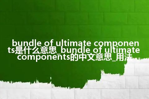 bundle of ultimate components是什么意思_bundle of ultimate components的中文意思_用法