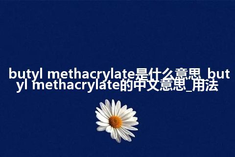butyl methacrylate是什么意思_butyl methacrylate的中文意思_用法