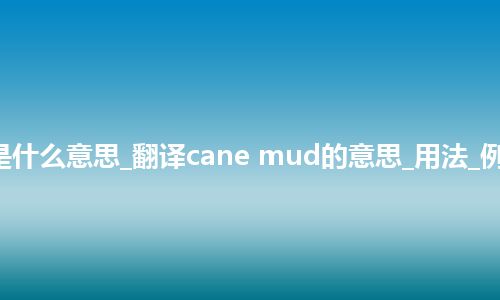 cane mud是什么意思_翻译cane mud的意思_用法_例句_英语短语
