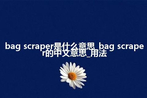 bag scraper是什么意思_bag scraper的中文意思_用法