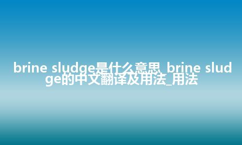 brine sludge是什么意思_brine sludge的中文翻译及用法_用法