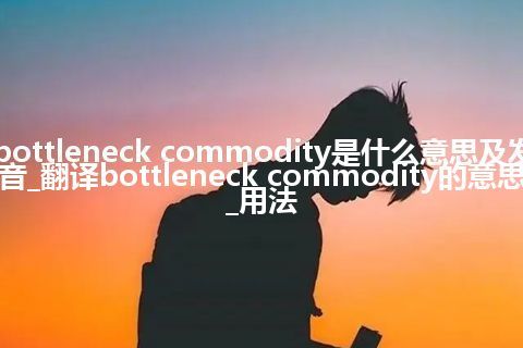 bottleneck commodity是什么意思及发音_翻译bottleneck commodity的意思_用法