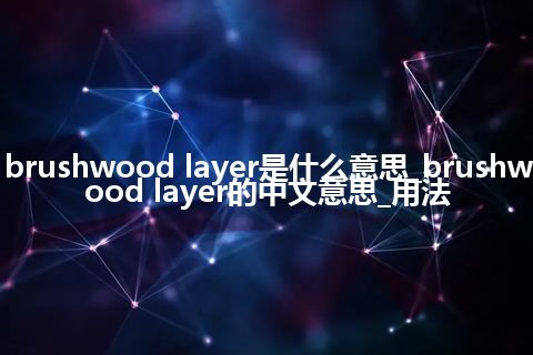 brushwood layer是什么意思_brushwood layer的中文意思_用法