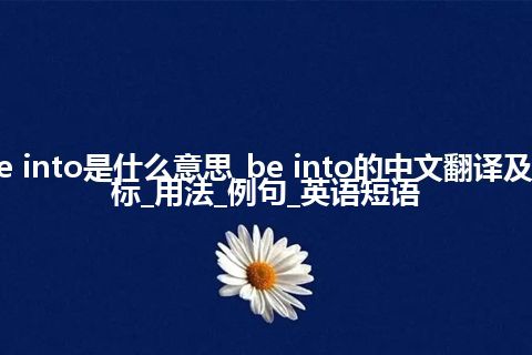 be into是什么意思_be into的中文翻译及音标_用法_例句_英语短语