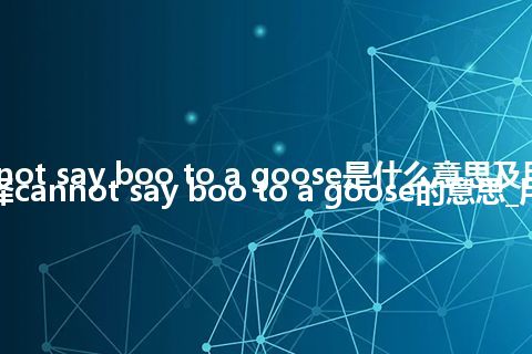 cannot say boo to a goose是什么意思及用法_翻译cannot say boo to a goose的意思_用法