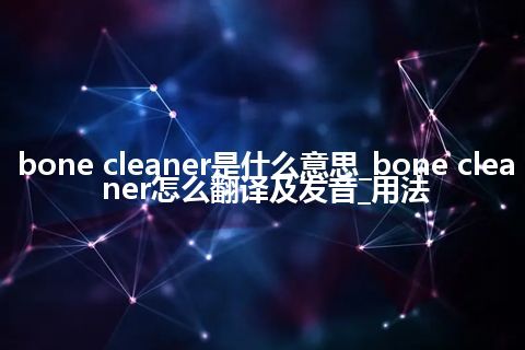 bone cleaner是什么意思_bone cleaner怎么翻译及发音_用法