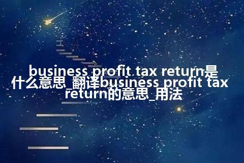 business profit tax return是什么意思_翻译business profit tax return的意思_用法