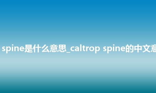 caltrop spine是什么意思_caltrop spine的中文意思_用法