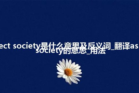 aspect society是什么意思及反义词_翻译aspect society的意思_用法