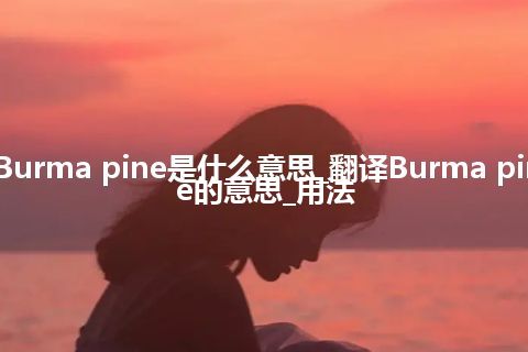 Burma pine是什么意思_翻译Burma pine的意思_用法