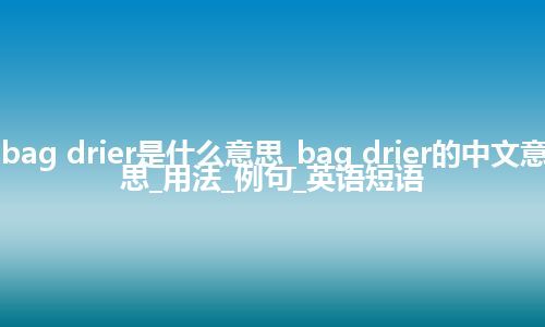bag drier是什么意思_bag drier的中文意思_用法_例句_英语短语