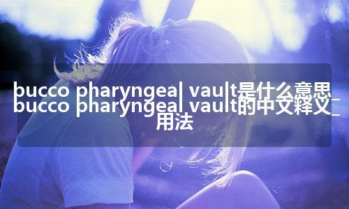 bucco pharyngeal vault是什么意思_bucco pharyngeal vault的中文释义_用法