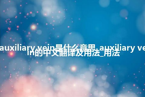 auxiliary vein是什么意思_auxiliary vein的中文翻译及用法_用法