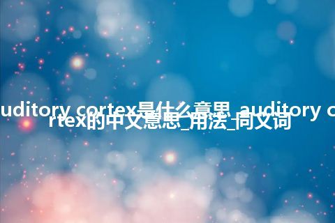 auditory cortex是什么意思_auditory cortex的中文意思_用法_同义词